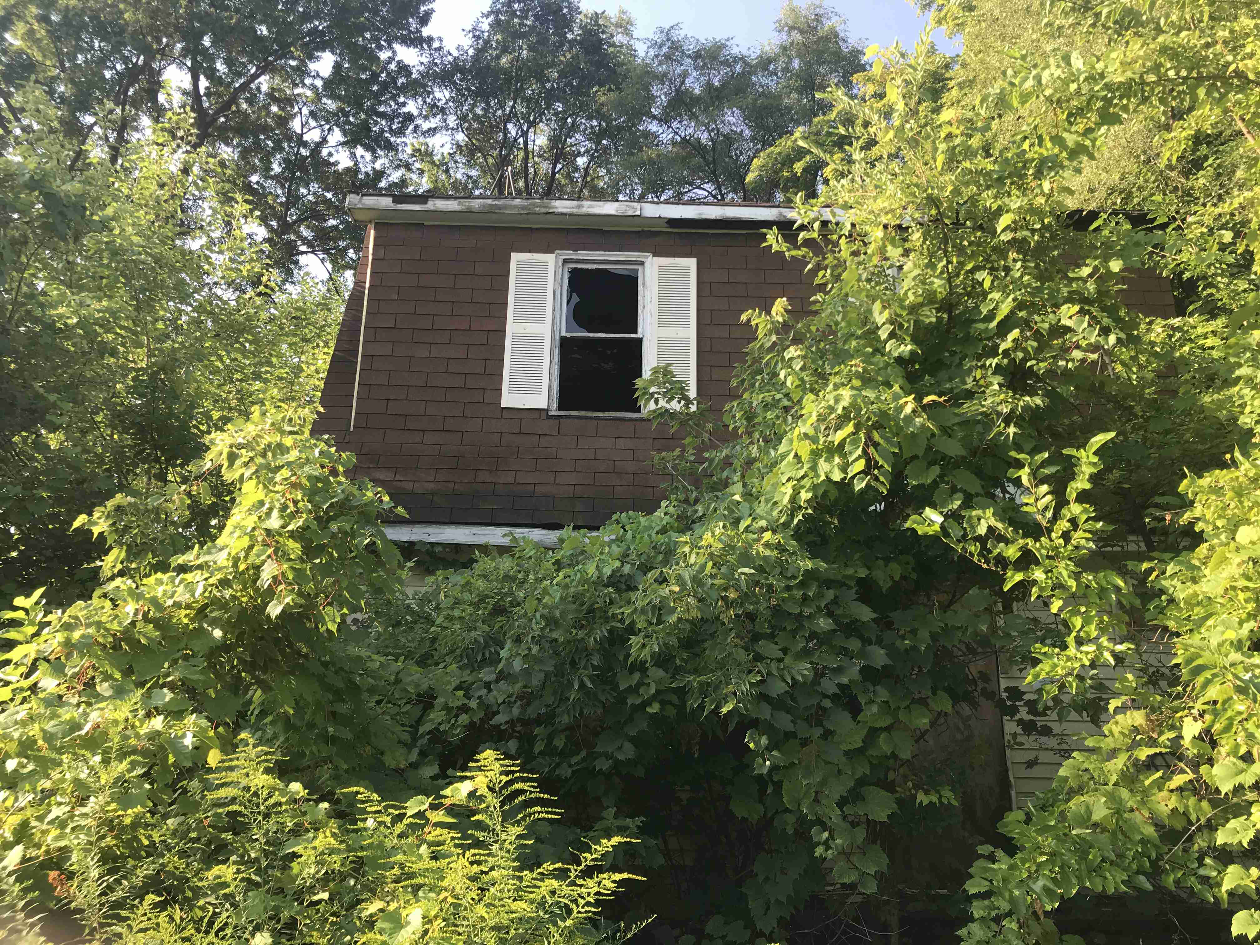 Photo Aug 24, 9 14 44 AM.jpg